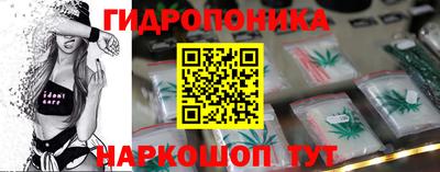 ECSTASY Будённовск