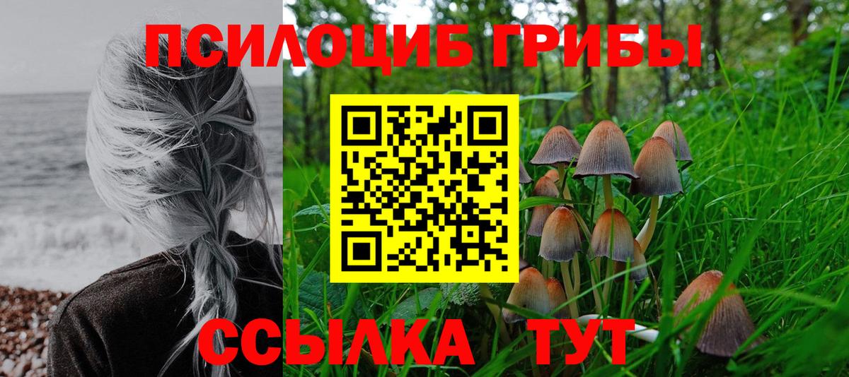 Галлюциногенные грибы прущие грибы  Галлюциногенные грибы мухоморы  дарнет шоп  Стерлитамак  Вход с VPN 