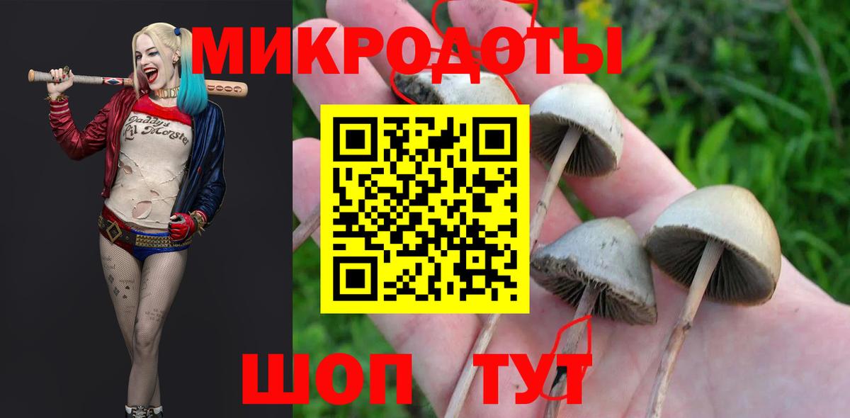 Галлюциногенные грибы ЛСД Стерлитамак